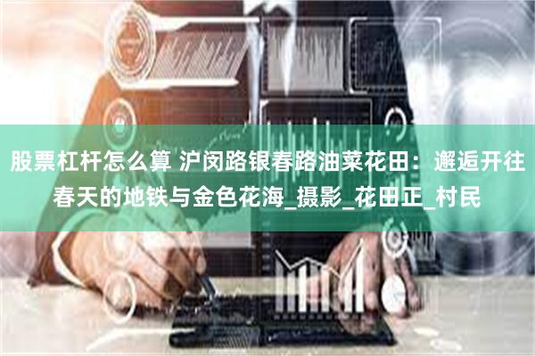 股票杠杆怎么算 沪闵路银春路油菜花田：邂逅开往春天的地铁与金色花海_摄影_花田正_村民