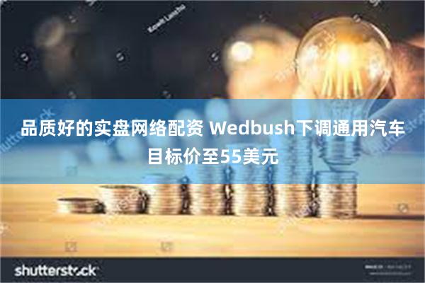 品质好的实盘网络配资 Wedbush下调通用汽车目标价至55美元