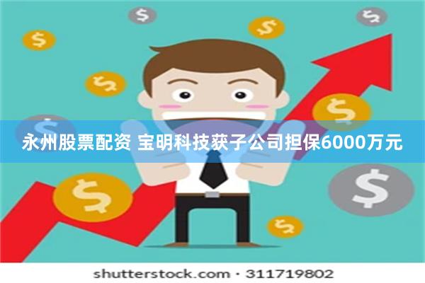 永州股票配资 宝明科技获子公司担保6000万元